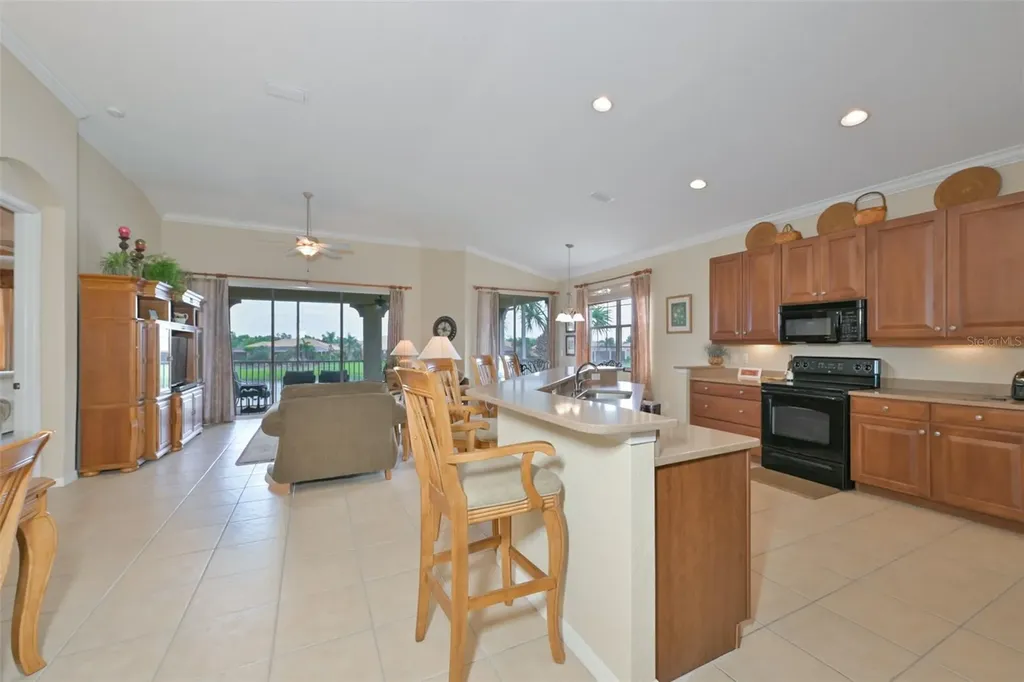 1330 Emerald Dunes Drive Sun City Center FL 33573