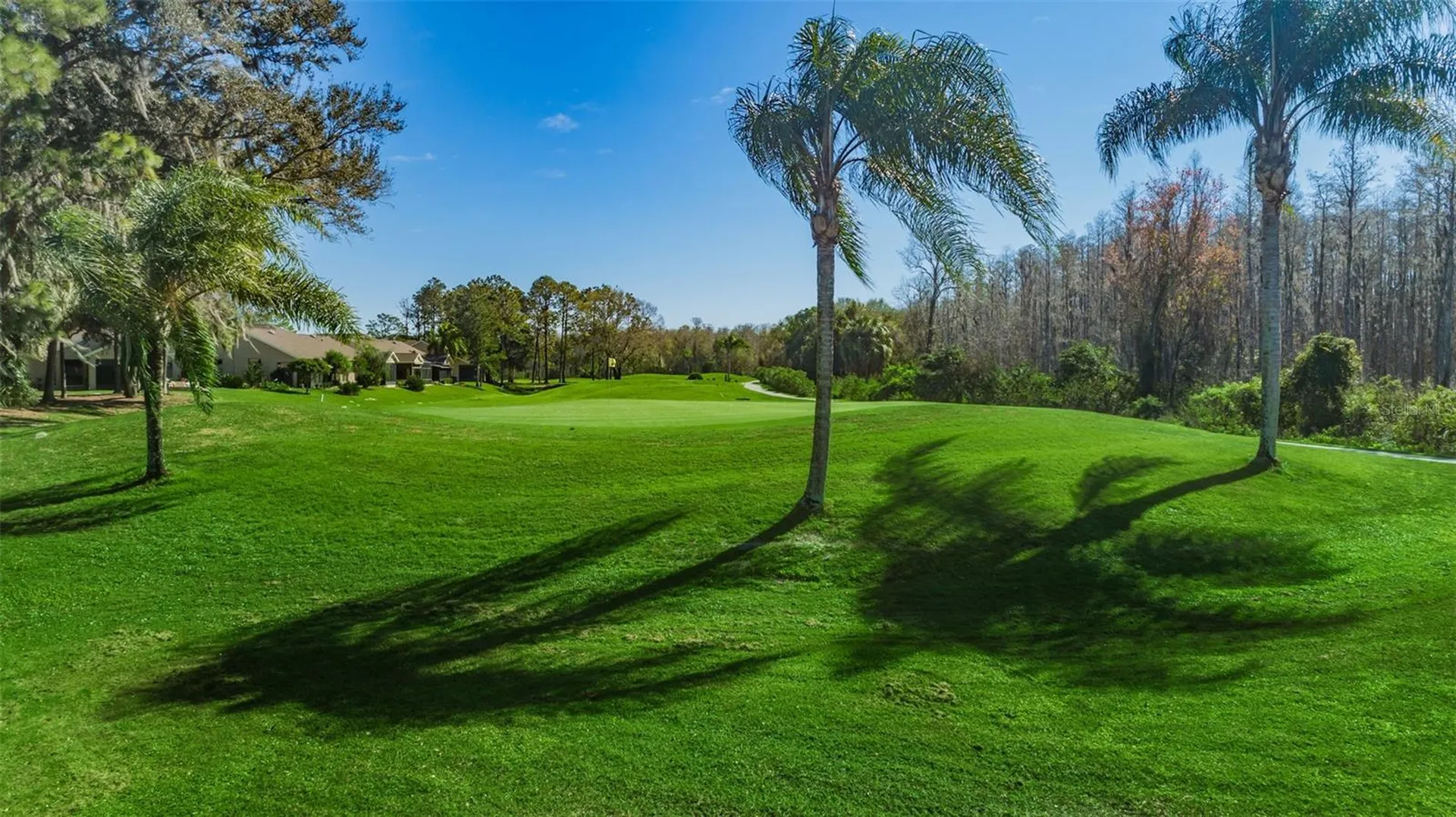 9307 Palm Haven Court New Port Richey FL 34655