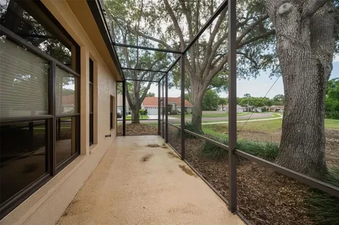 9307 Palm Haven Court New Port Richey FL 34655