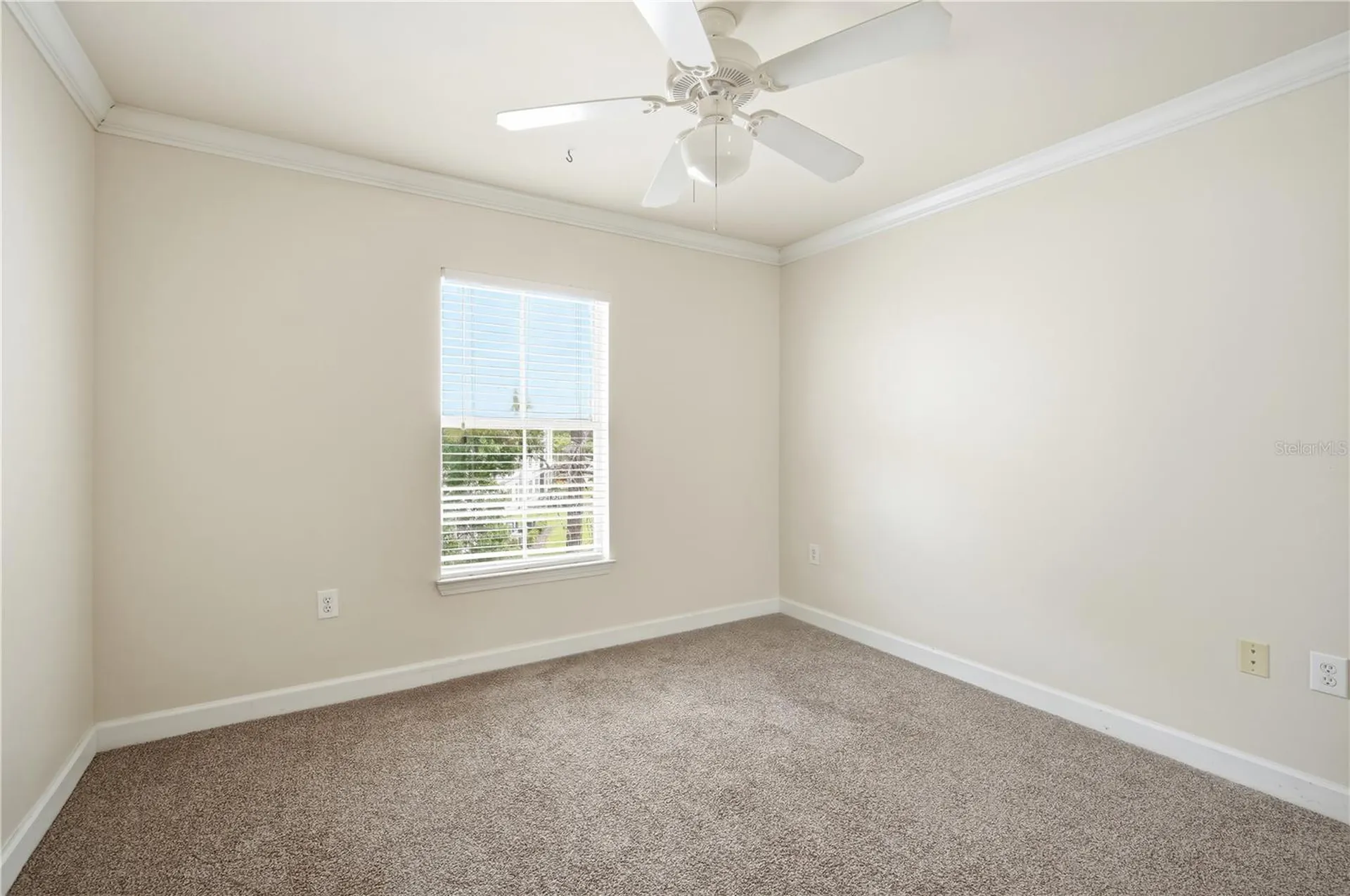 18367 Bridle Club Drive Tampa FL 33647