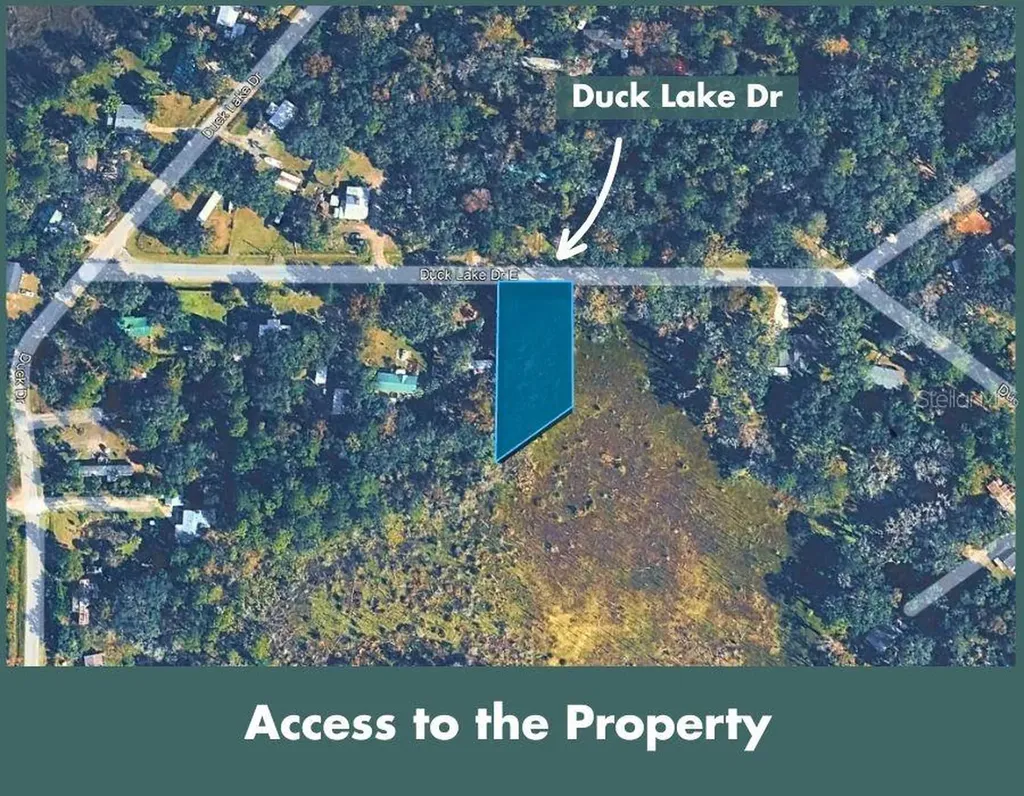 Duck Lake Drive Fernandina Beach FL 32034