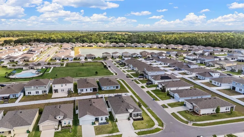 29345 Meadowcroft Avenue Wesley Chapel FL 33544