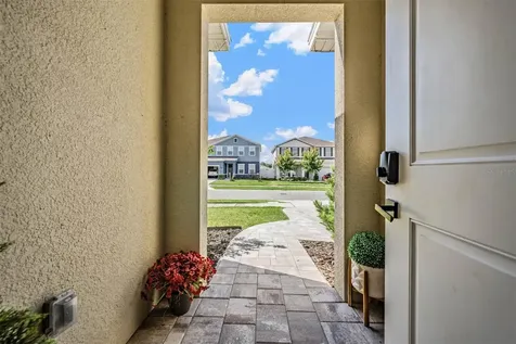 29345 Meadowcroft Avenue Wesley Chapel FL 33544
