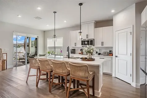29345 Meadowcroft Avenue Wesley Chapel FL 33544