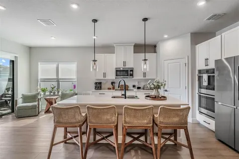 29345 Meadowcroft Avenue Wesley Chapel FL 33544