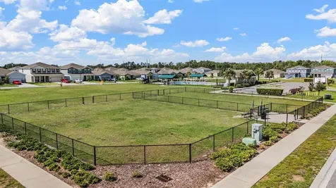 29345 Meadowcroft Avenue Wesley Chapel FL 33544