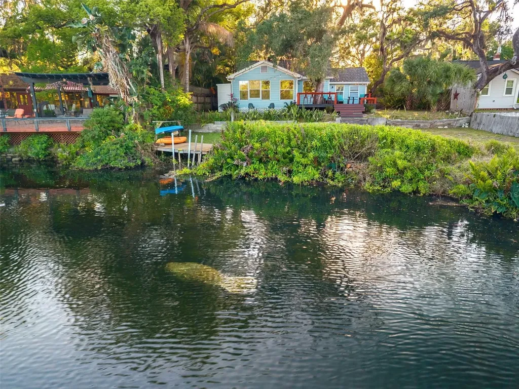 1502 E Park Circle Tampa FL 33610