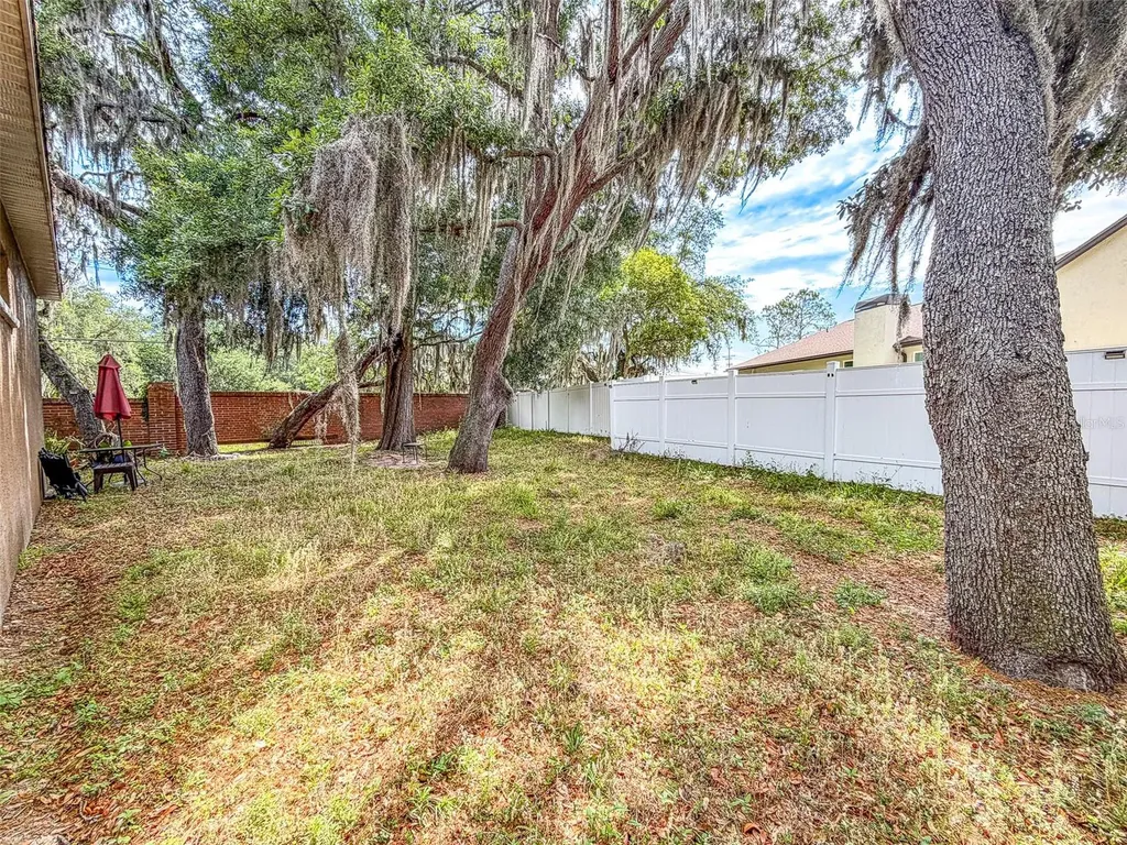 2539 Centennial Falcon Drive Valrico FL 33596
