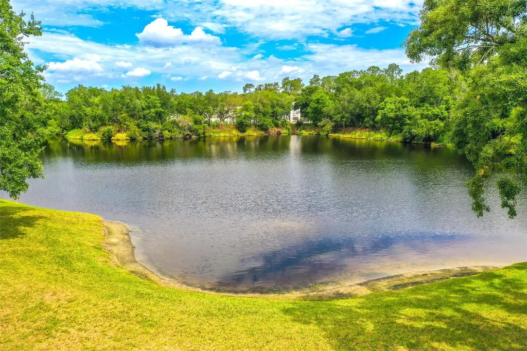 2539 Centennial Falcon Drive Valrico FL 33596