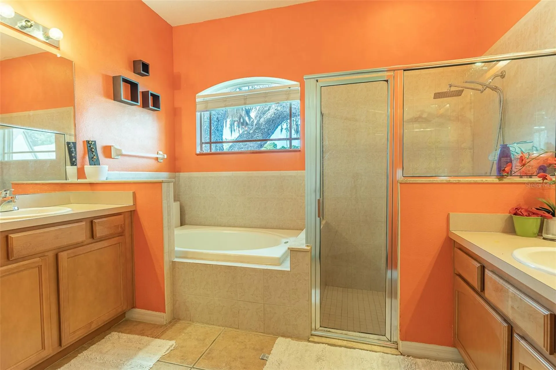 2539 Centennial Falcon Drive Valrico FL 33596