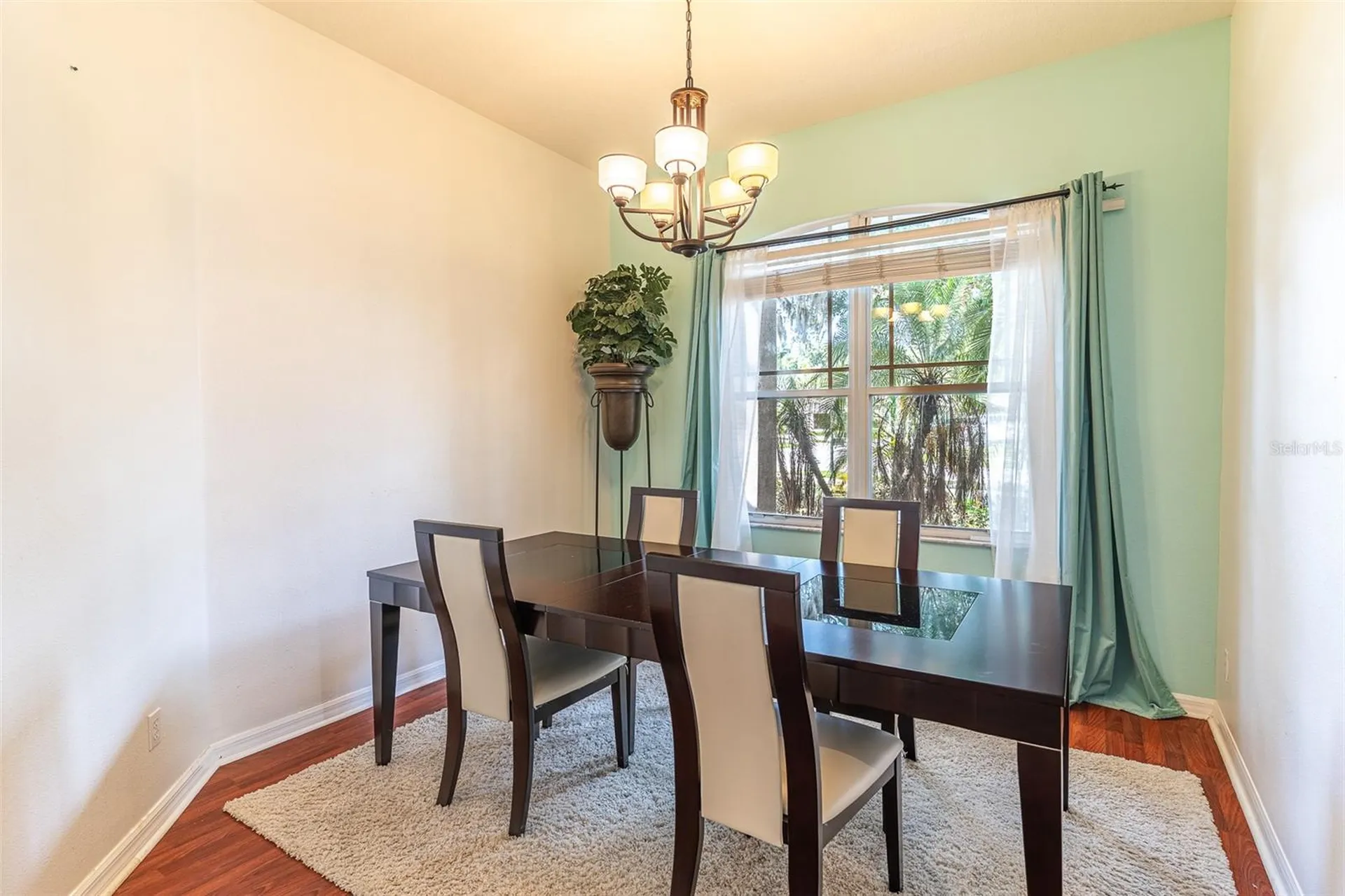 2539 Centennial Falcon Drive Valrico FL 33596
