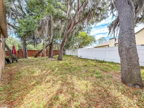 2539 Centennial Falcon Drive Valrico FL 33596