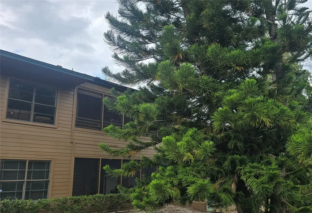406 Lennox Road W Palm Harbor FL 34683