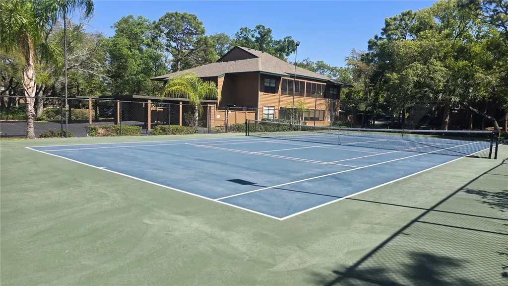 406 Lennox Road W Palm Harbor FL 34683
