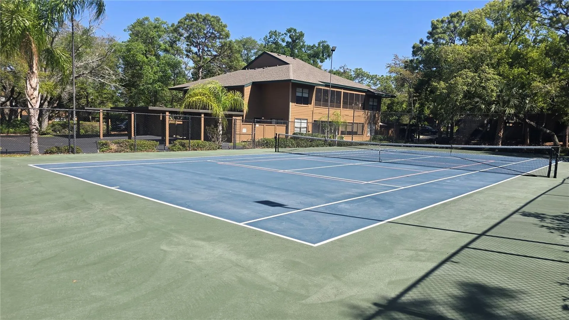 406 Lennox Road W Palm Harbor FL 34683
