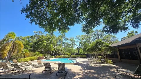 406 Lennox Road W Palm Harbor FL 34683