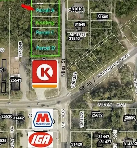 31595 Niles Street Mount Plymouth FL 32776