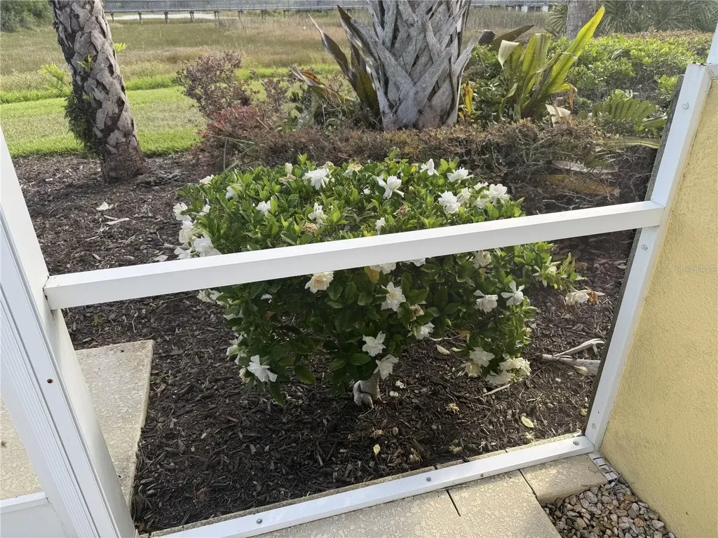 6214 Erice Street Venice FL 34293