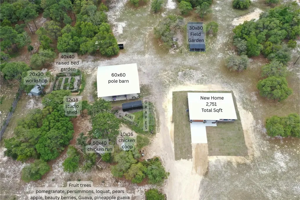 6254 W Peking Court Dunnellon FL 34433