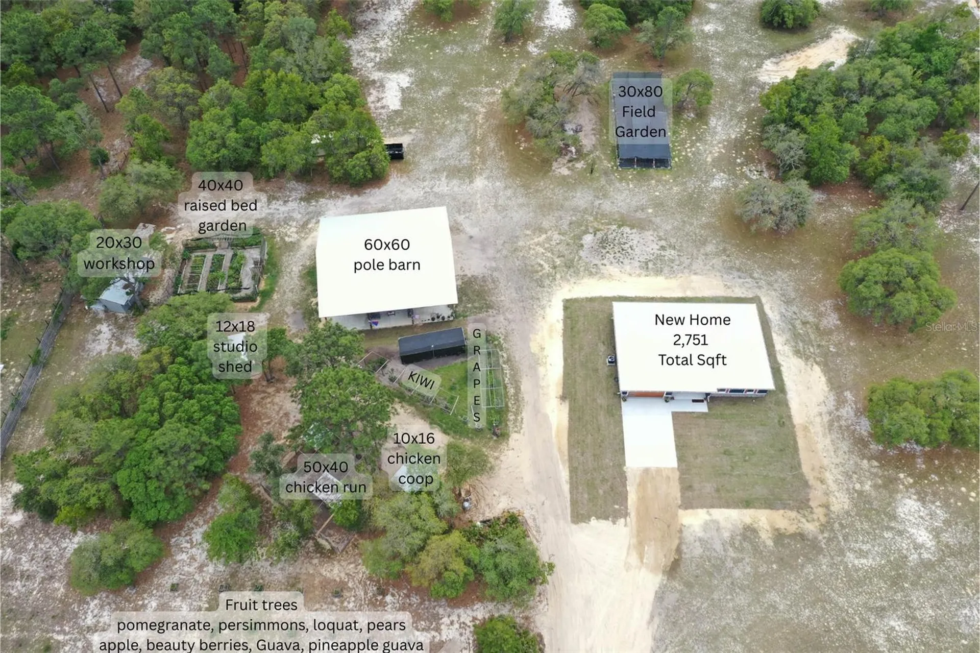 6254 W Peking Court Dunnellon FL 34433