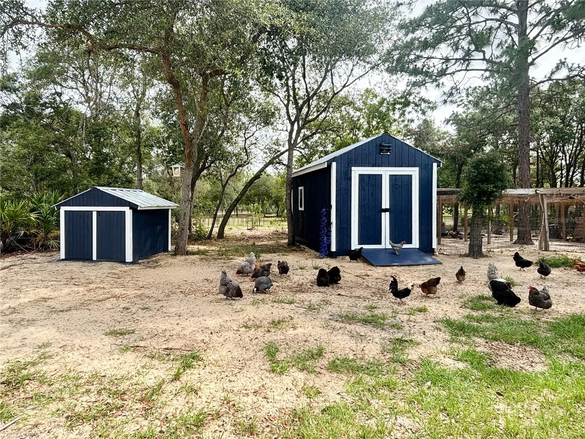 6254 W Peking Court Dunnellon FL 34433