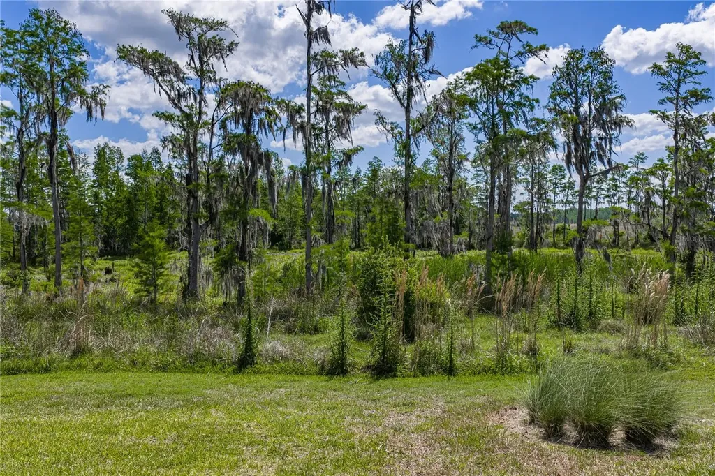 6041 Shorebird Branch Land O Lakes FL 34638