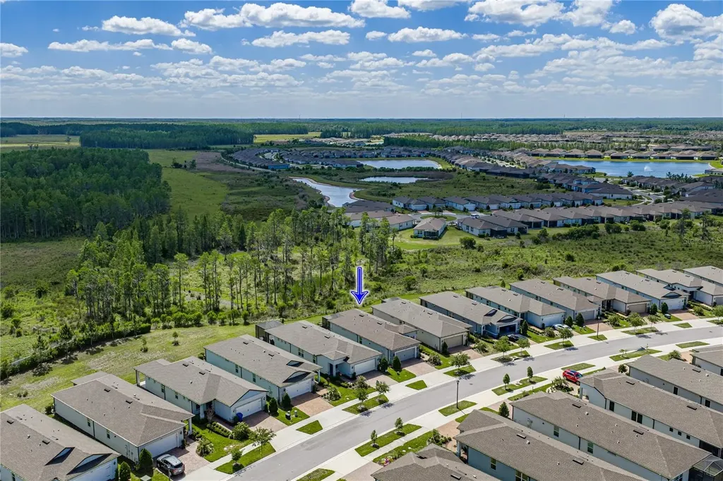 6041 Shorebird Branch Land O Lakes FL 34638
