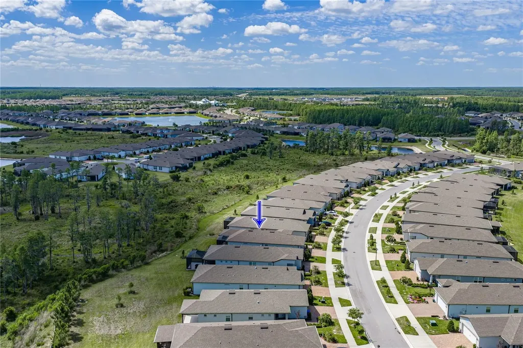 6041 Shorebird Branch Land O Lakes FL 34638