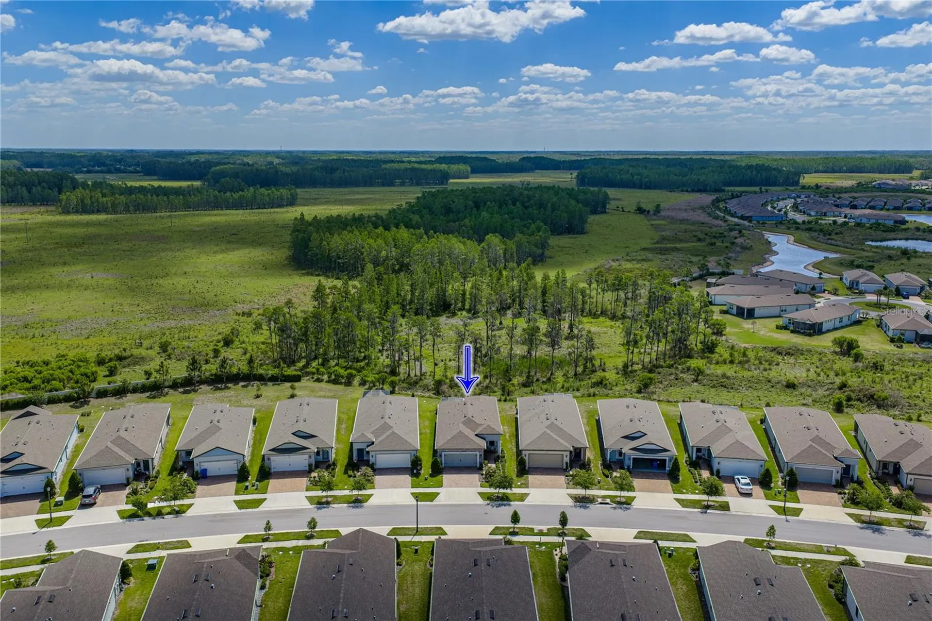 6041 Shorebird Branch Land O Lakes FL 34638