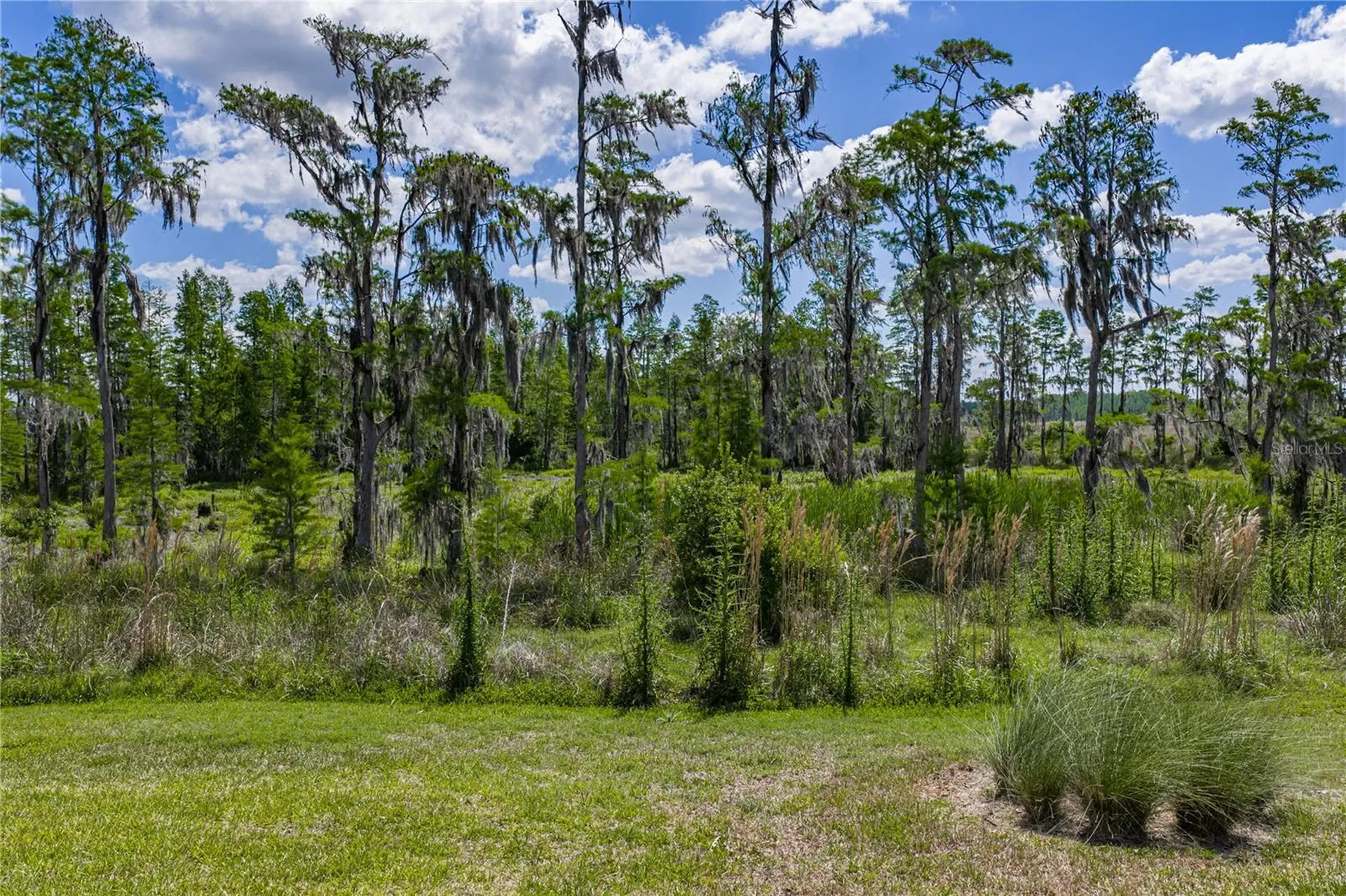 6041 Shorebird Branch Land O Lakes FL 34638