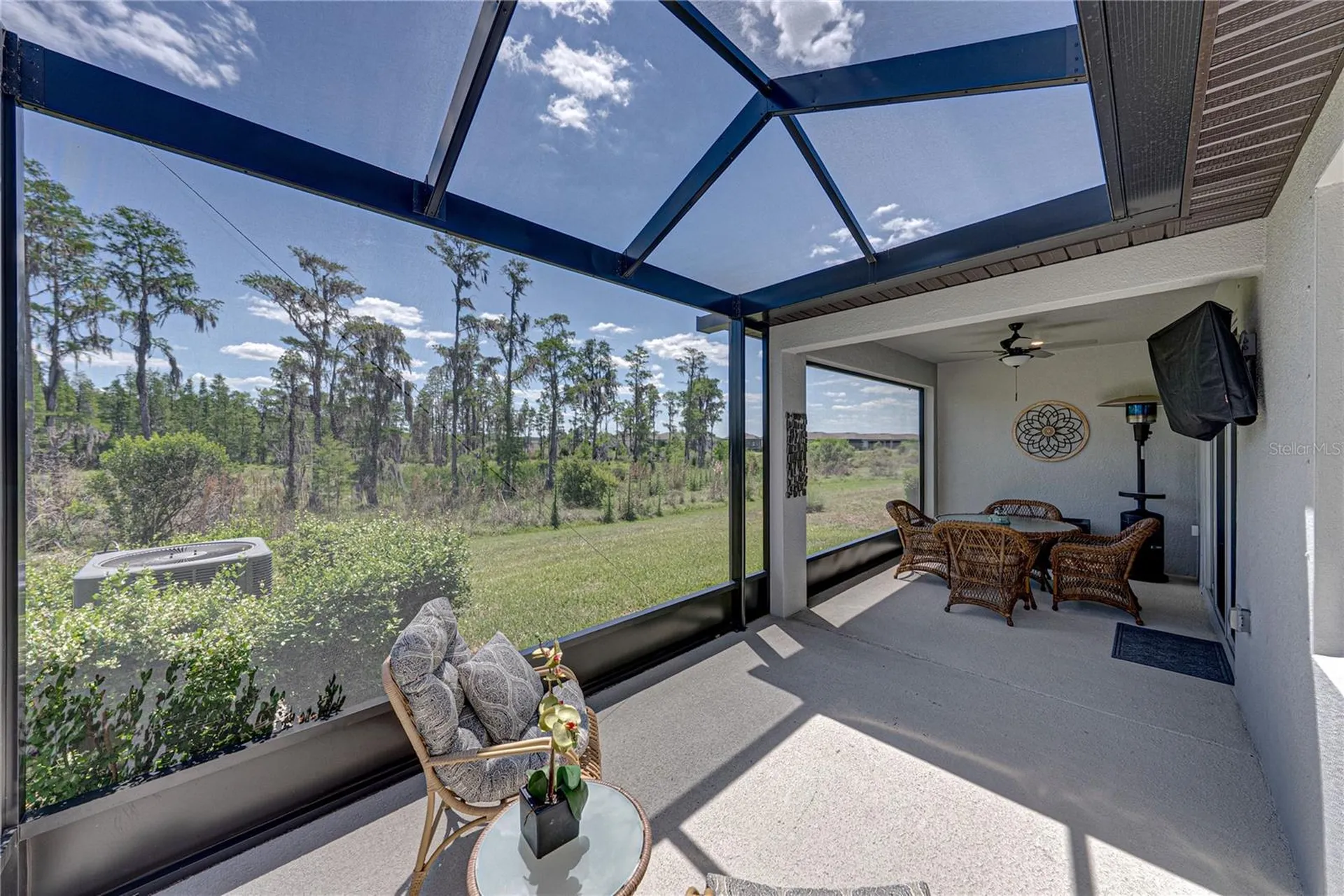 6041 Shorebird Branch Land O Lakes FL 34638