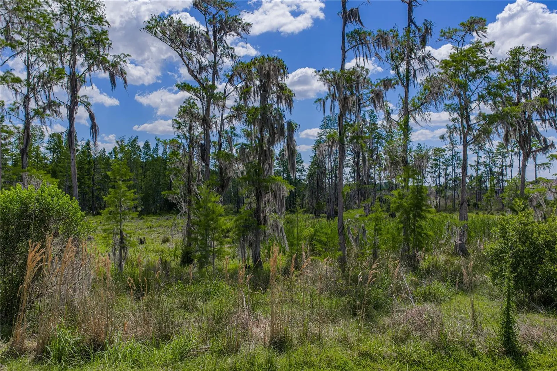 6041 Shorebird Branch Land O Lakes FL 34638