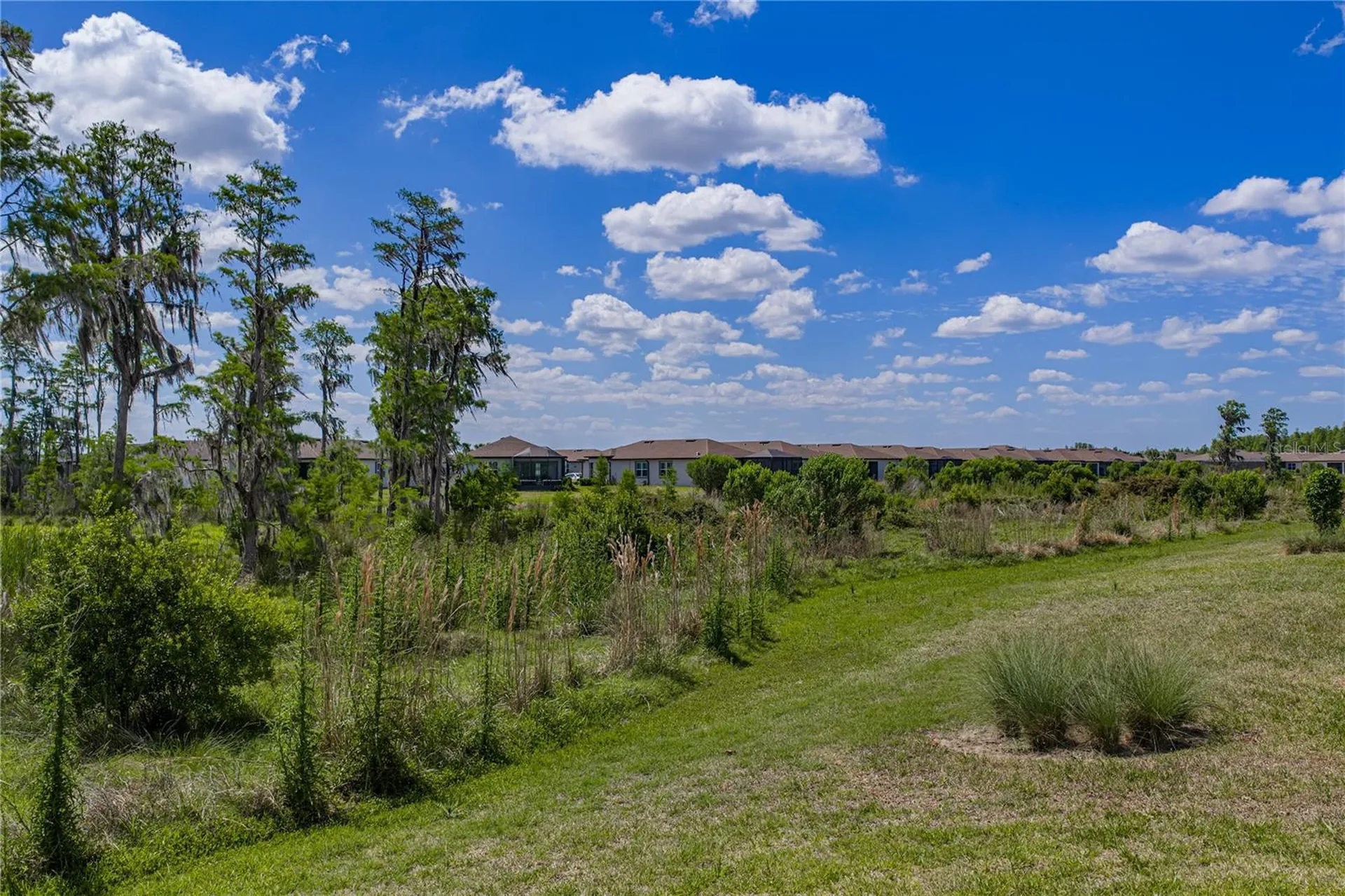 6041 Shorebird Branch Land O Lakes FL 34638