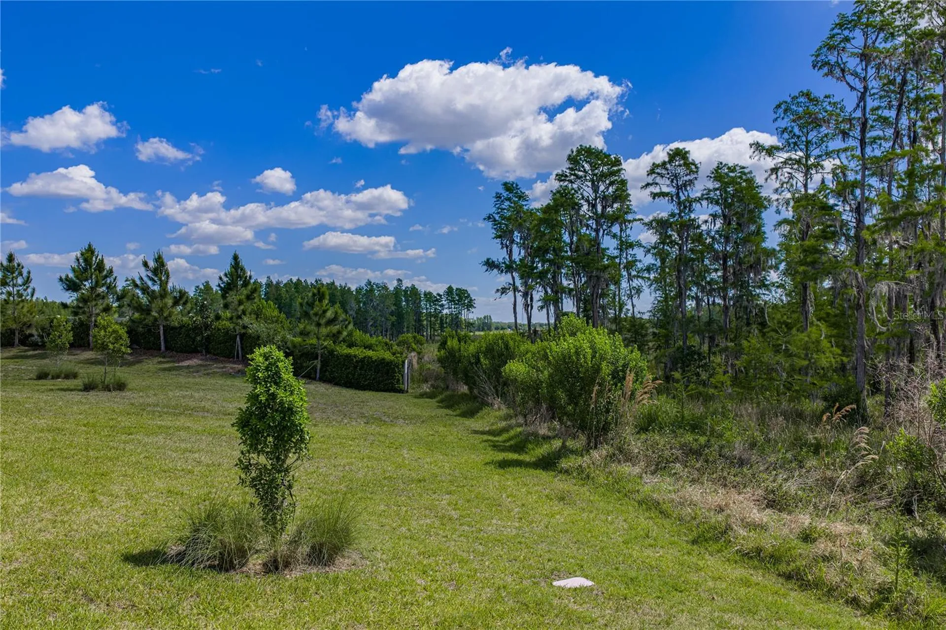 6041 Shorebird Branch Land O Lakes FL 34638