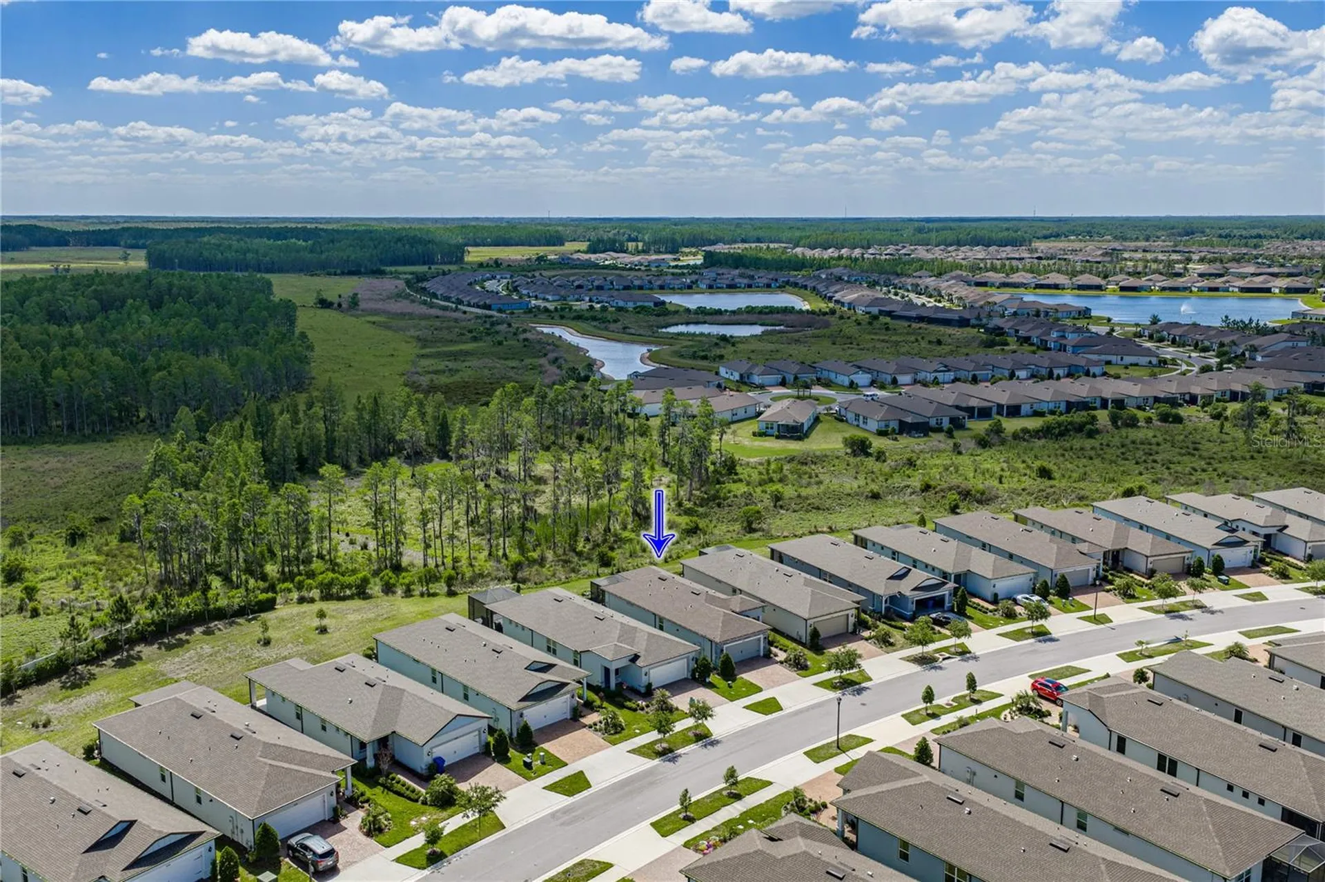 6041 Shorebird Branch Land O Lakes FL 34638