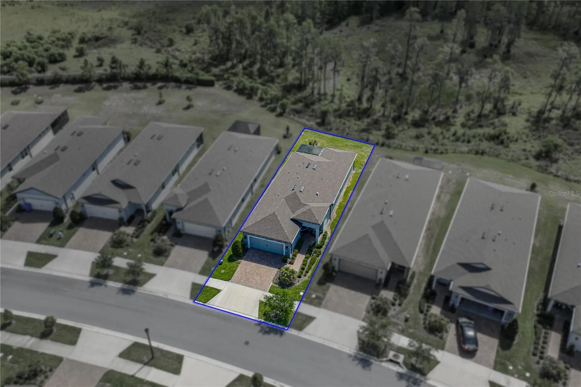 6041 Shorebird Branch Land O Lakes FL 34638