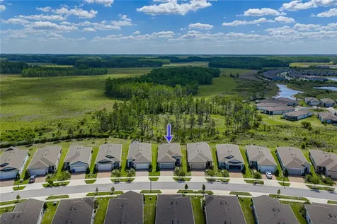 6041 Shorebird Branch Land O Lakes FL 34638