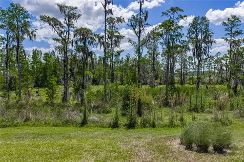 6041 Shorebird Branch Land O Lakes FL 34638