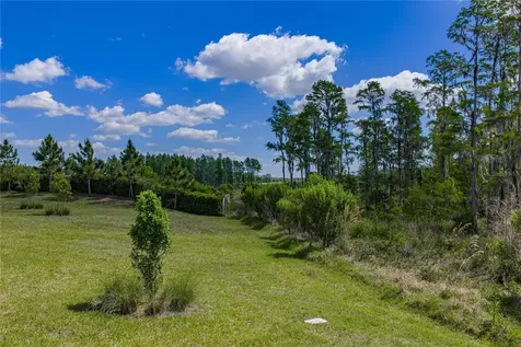 6041 Shorebird Branch Land O Lakes FL 34638