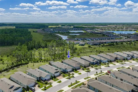6041 Shorebird Branch Land O Lakes FL 34638