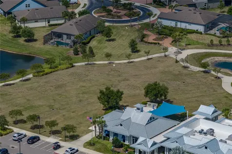 6041 Shorebird Branch Land O Lakes FL 34638