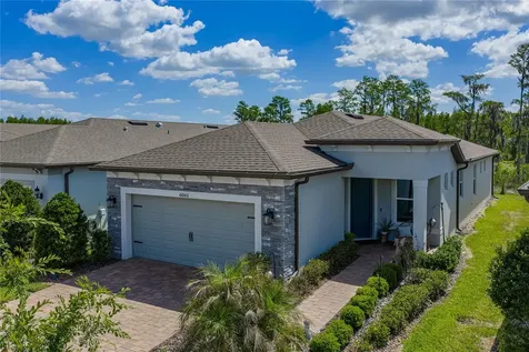6041 Shorebird Branch Land O Lakes FL 34638
