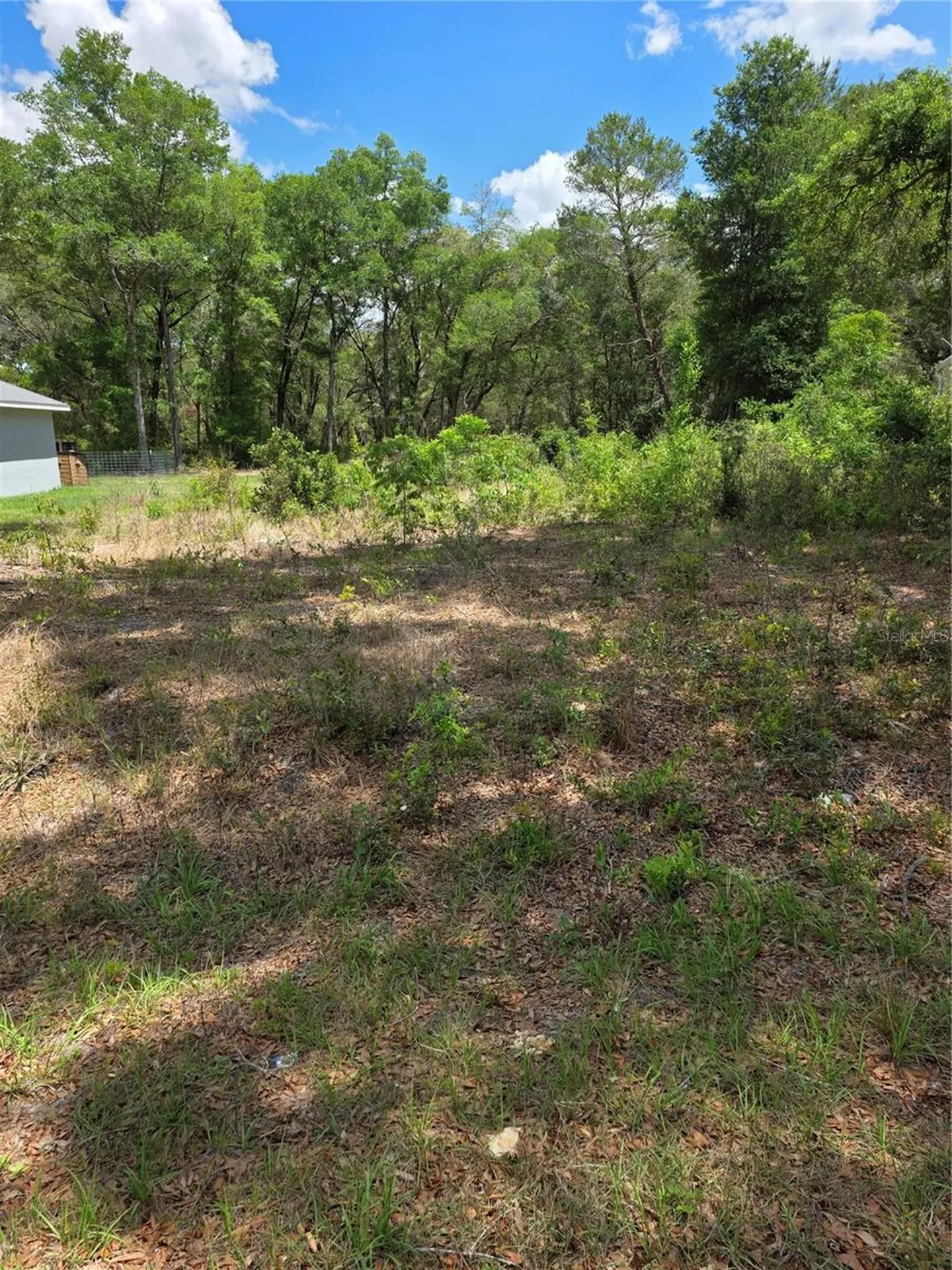 10679 SW 110th Court Dunnellon FL 34432