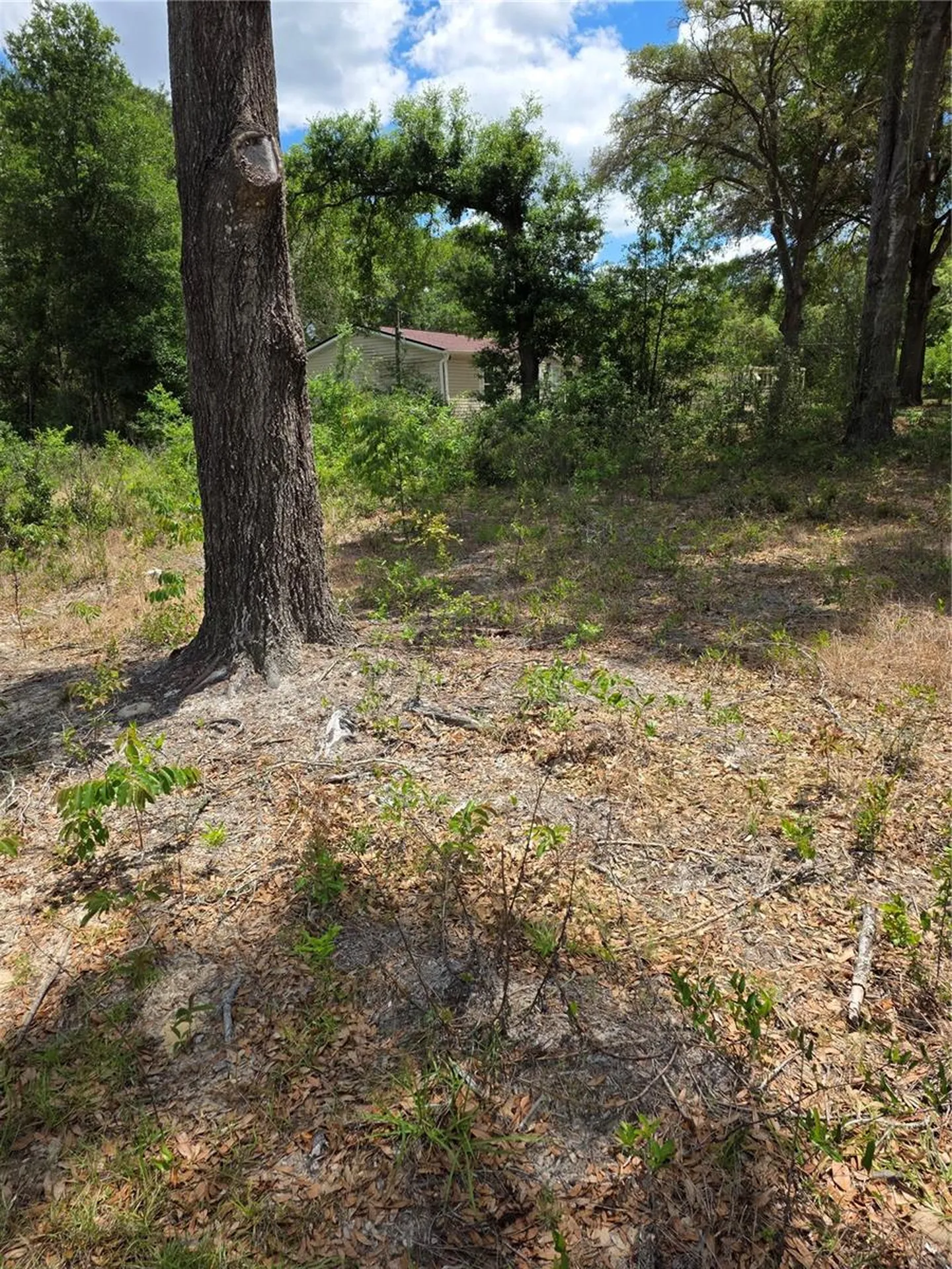 10679 SW 110th Court Dunnellon FL 34432