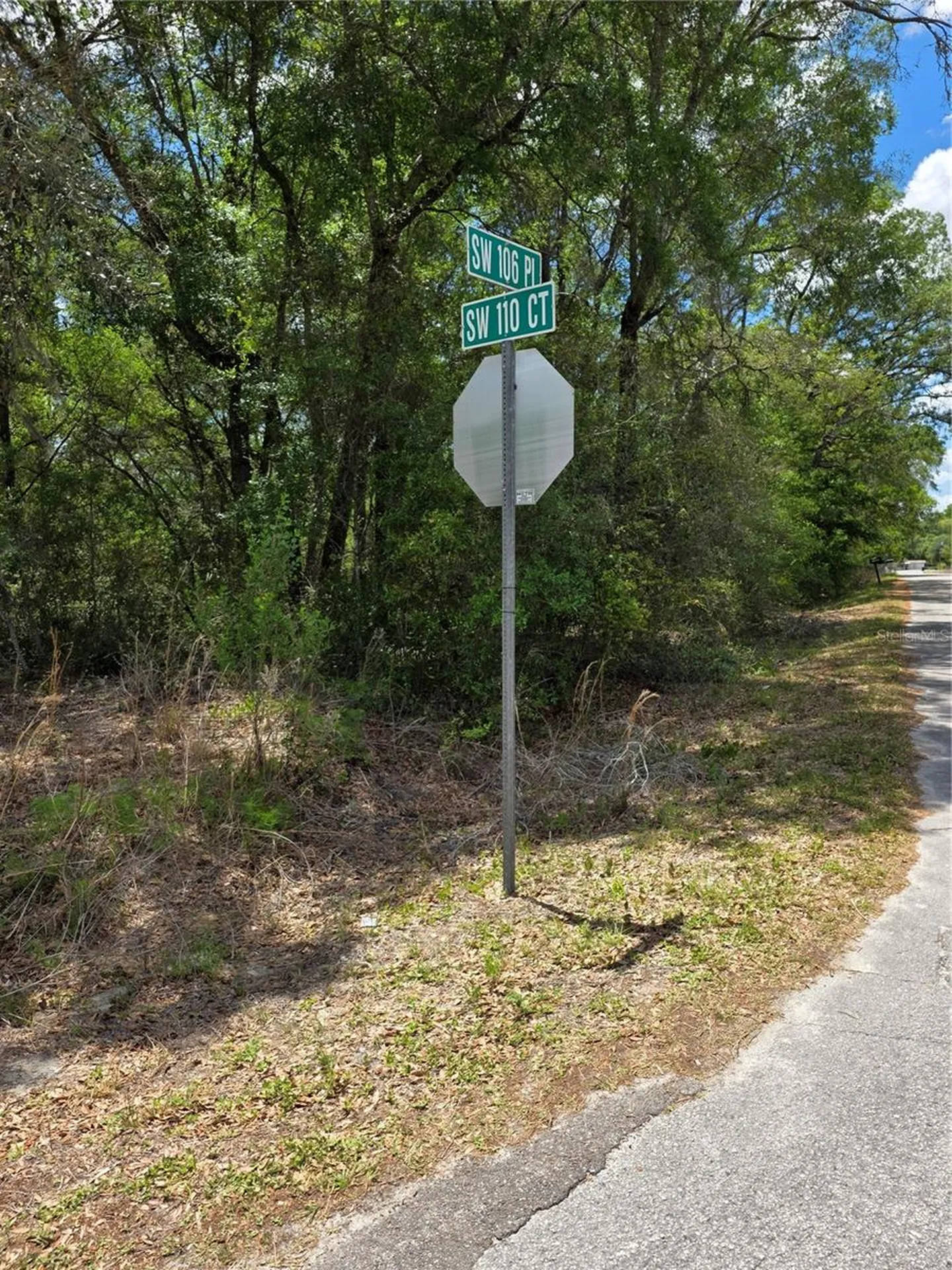 10679 SW 110th Court Dunnellon FL 34432