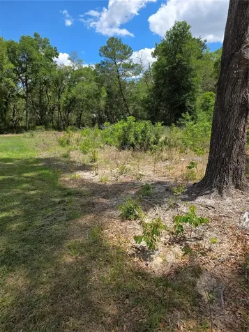 10679 SW 110th Court Dunnellon FL 34432