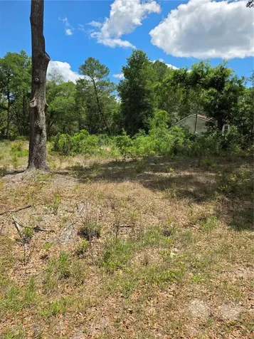 10679 SW 110th Court Dunnellon FL 34432