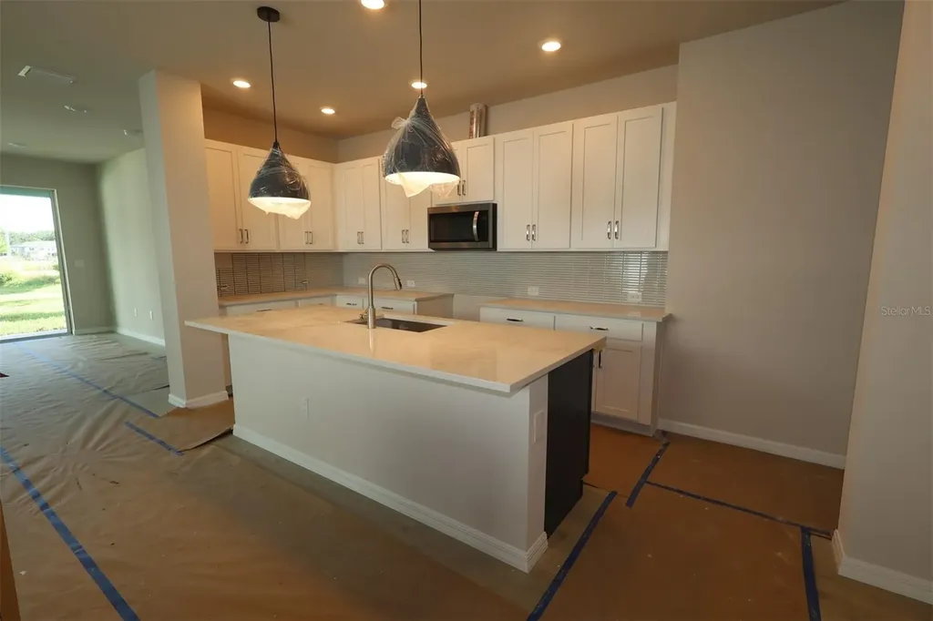 31232 Pendleton Landing Circle Wesley Chapel FL 33545