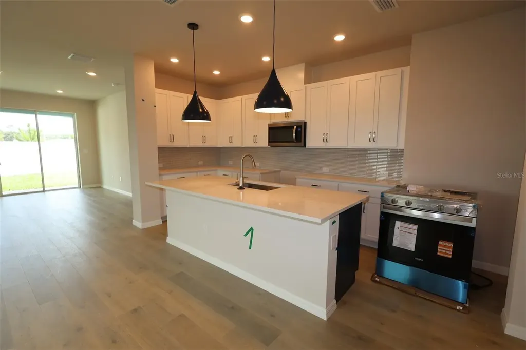 31232 Pendleton Landing Circle Wesley Chapel FL 33545