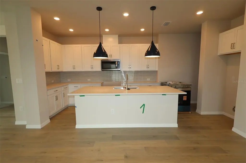 31232 Pendleton Landing Circle Wesley Chapel FL 33545